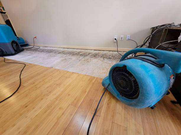 Professional Structural Drying technician working in Blissfield, MI